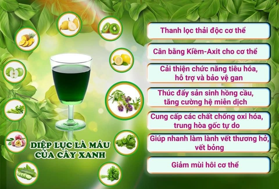 Công dụng của Diệp lục Th Health - TH- Chlorophyll UIE PLUS