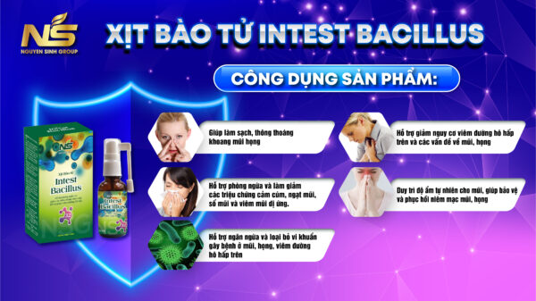 Công Dụng Xit Bao Tu Iintest Bacillus