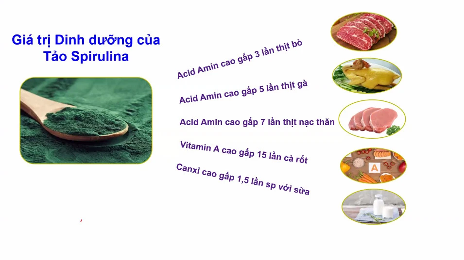 Giá trị dinh dưỡng của Tảo Spirulina - Tảo Spirulina TH Health - TH-Blackcurrant with Spirulina Advance