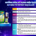 Hdsd Xịt Bào Tử Intest Bacillus