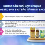 Hdsd Xịt Bào Tử Intest Bacillus Kết Hợp Cao Ho Hoàng Bảo Đan