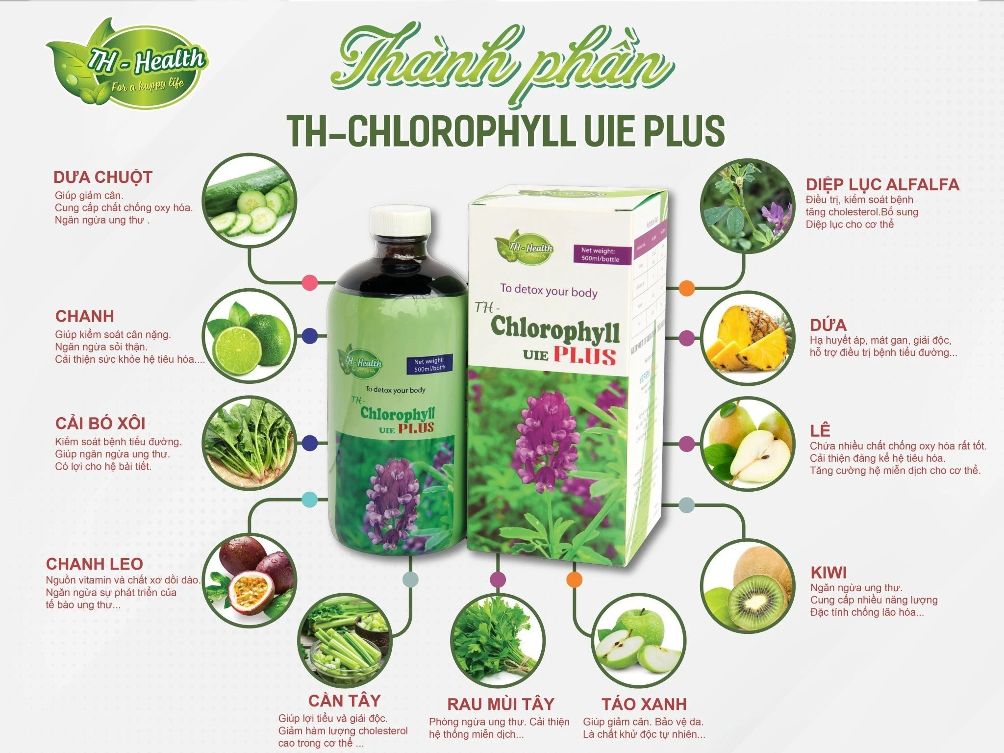 Thành phần của Diệp lục TH Health (TH-Chlorophyll UIE PLUS)