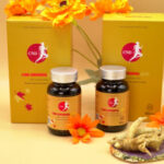 Vien Nang nhan sam CND Ginseng Gold - Dropbiz