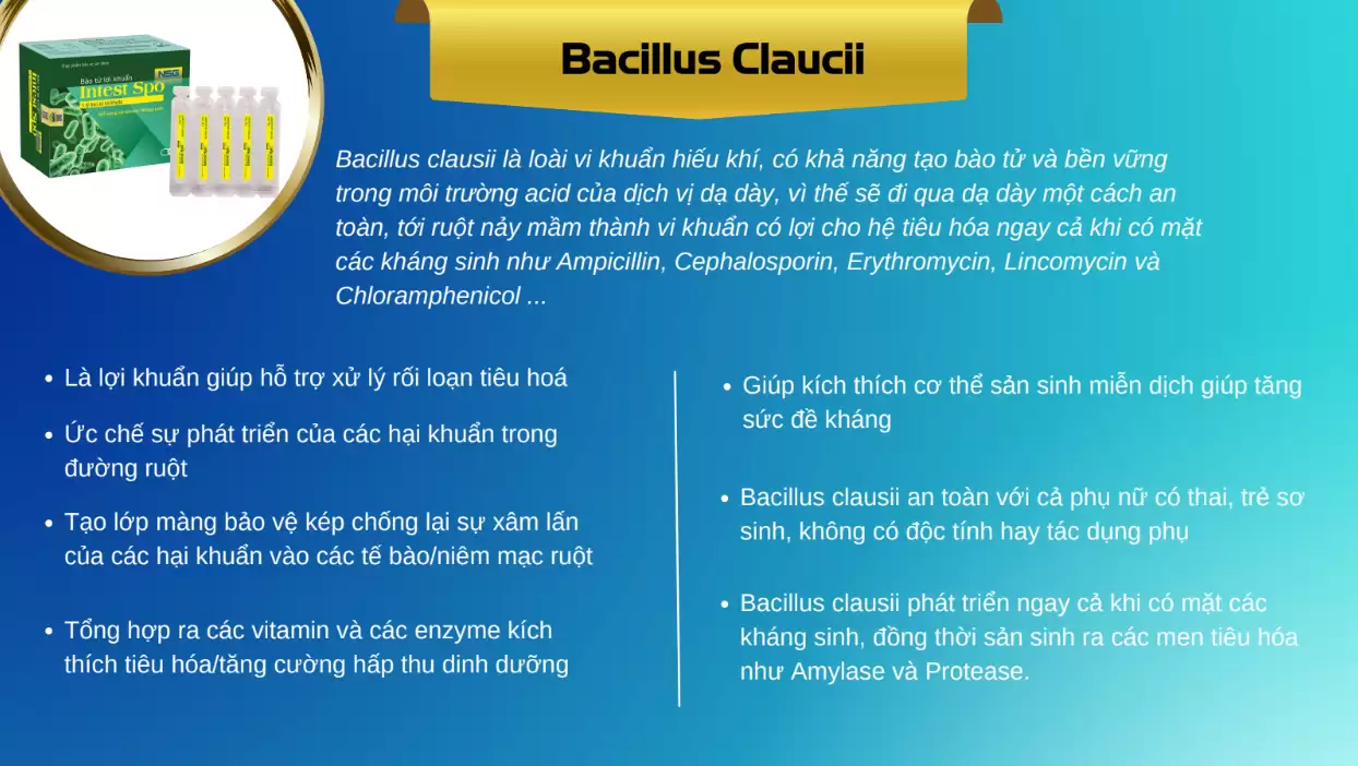 Bacillus Claucii - Intest Spo Nsg