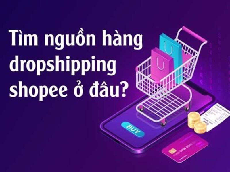 goi y cac cach tim nguon hang dropshipping dang pho bien tren mang 2023 2288 - Dropbiz