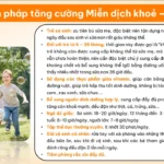 Biện Pháp Tăng Cường Miễn Dịch Khỏe - Tiêu Hóa Tốt