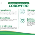 CÔng DỤng ĐẠm ThỰc VẬt Cordypro