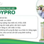 ĐỐi TƯỢng SỬ DỤng Protein ThỰc VẬt Cordypro