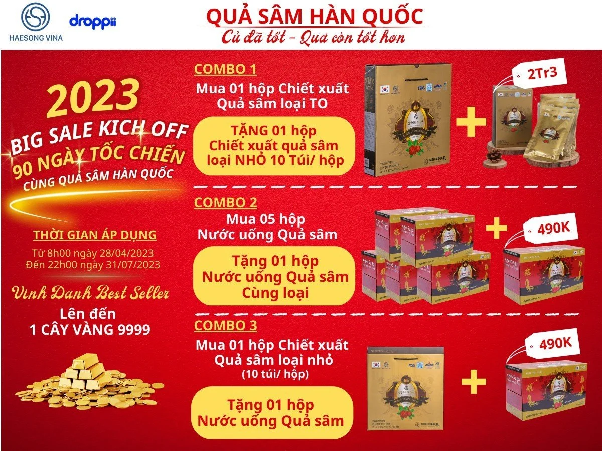 Khuyến mãi Chiết xuất Quả nhân sâm Hàn Quốc và Nước uống Quả nhân sâm Haesong Vina chính hãng giá tốt - Dropbiz