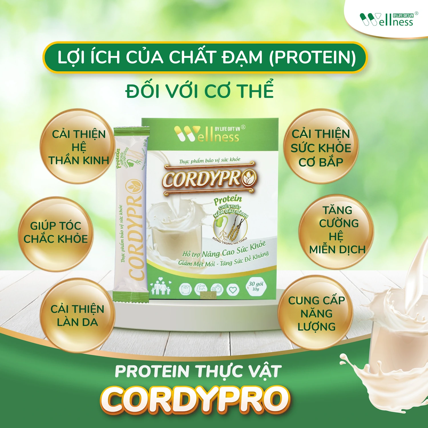 Lợi ích Của đạm Thực Vật Cordypro đối Với Cơ Thể