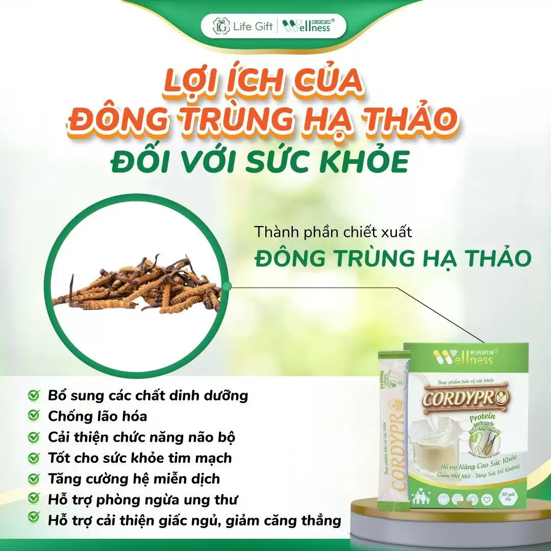 Lợi ích Của Dông Trùng Hạ Thảo đối Với Sức Khỏe