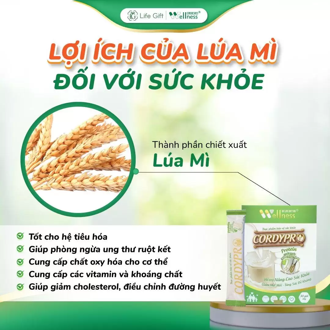 Lợi ích Của Lúa Mì đối Với Sức Khỏe