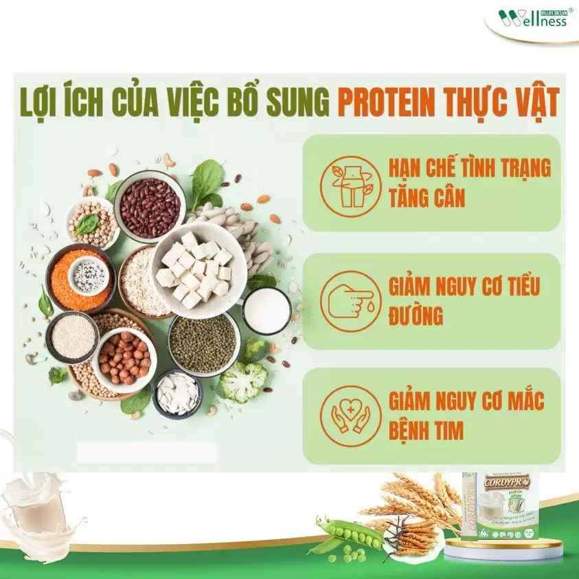 Lợi ích Của Việc Bổ Sung đạm Thực Vật Cordypro