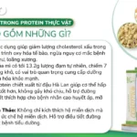 ThÀnh PhẦn Protein ThỰc VẬt Cordypro