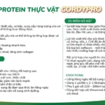 ThÔng Tin SẢn PhẨm Protein ThỰc VẬt Cordypro