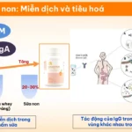 Tác Dụng Của Sữa Non đến Miễn Dịch Và Tiêu Hóa - Dropppii Shops