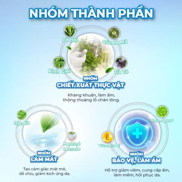 Nhóm Thành Phần Của Khăn Lau Hạ Sốt Trẻ Em Baby Hạ Sốt Pharphap - Jp Natural - Dropbiz