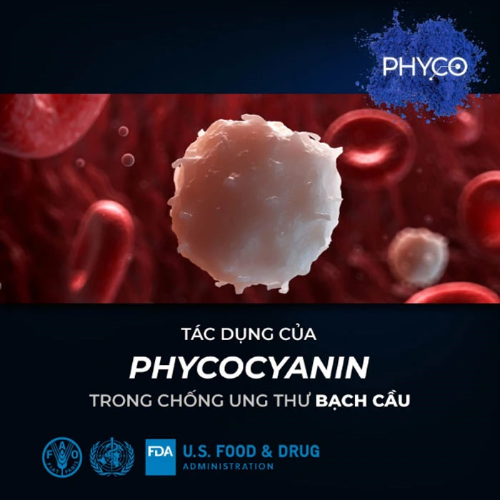 Tác Dụng Của Phycocyanin Trong Chống Ung Thư Bạch Cầu - Phycocyanin Spirulysat Cuivre - Dropbiz