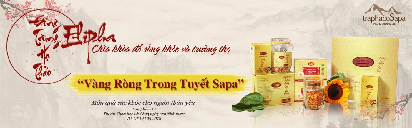 Đông Trùng Hạ Thảo Elipha - Traphaco Sapa - Vàng Ròng Trong Tuyết Sapa - Dropbiz