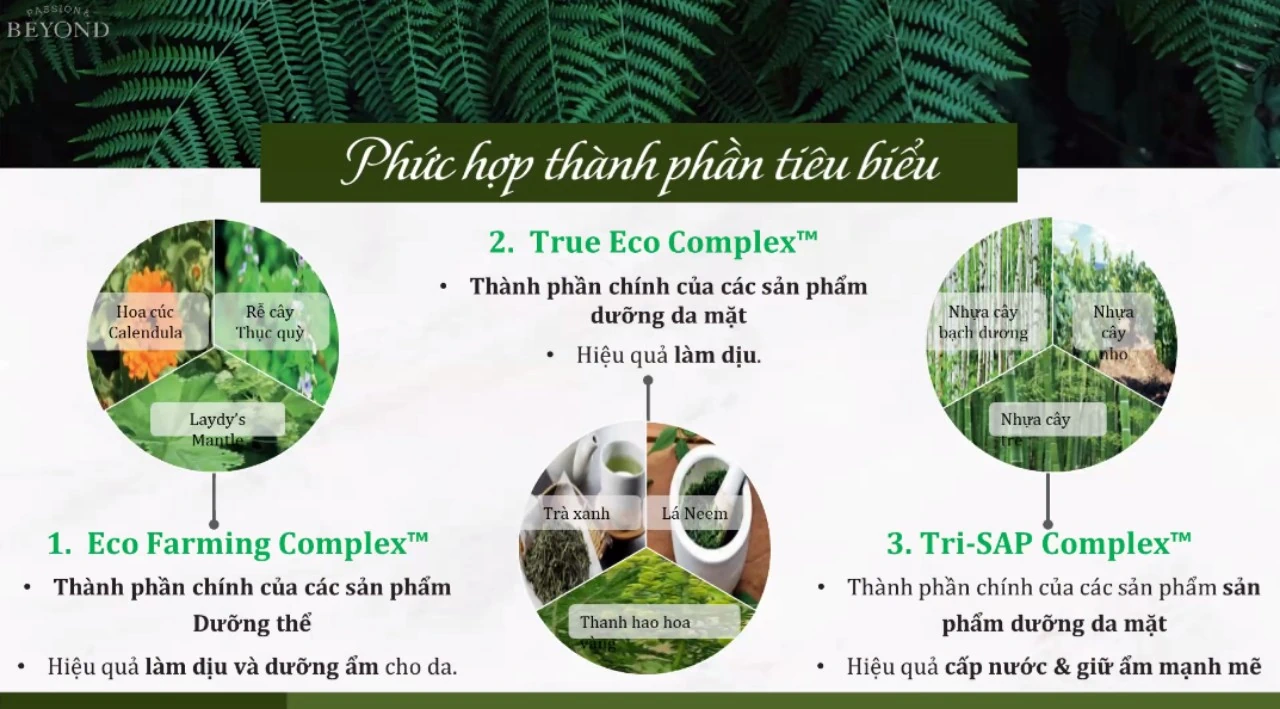 Phức Hợp Thành Phần Tiêu Biểu Trong Các Sản Phẩm Của Beyond - Lg Vina