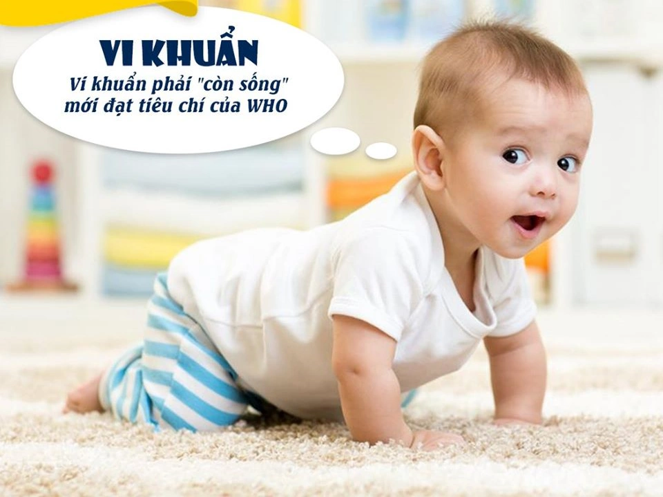 Tiêu Chuẩn Còn Sống Của Men Vi Sinh Theo Who