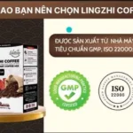 Các Chứng Nhận Của Cà Phê Sức Khỏe Lingzhi - Wellness By Life Gift Vn