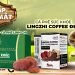 Hộp Quà Tặng Cà Phê Sức Khỏe Lingzhi Coffee - Life Gift Vn - Dropbiz