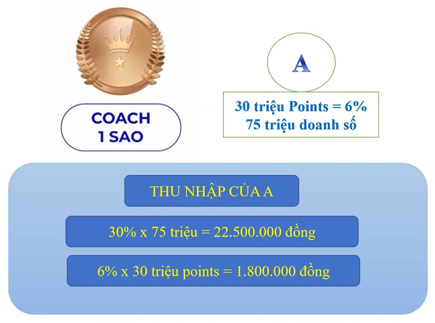 Thu Nhập Coach 1 Sao - Dropbiz