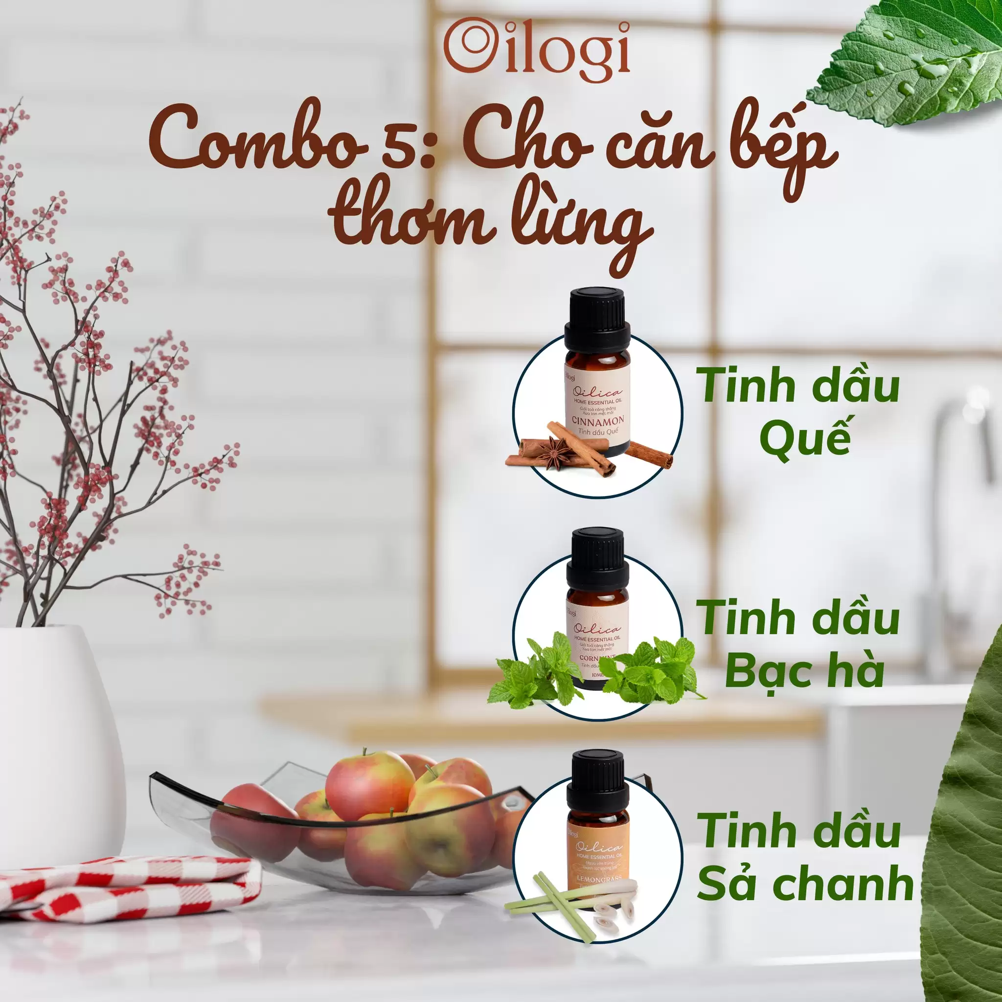 Combo Nhà Sạch 3