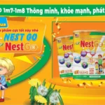 Sữa Alpha Nest Go Kids 800g