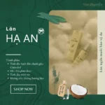 Thành Phần Chai Lăn Tinh Dầu đuổi Muỗi Hạ An