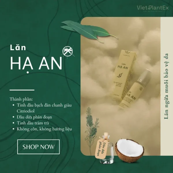 Thành Phần Chai Lăn Tinh Dầu đuổi Muỗi Hạ An