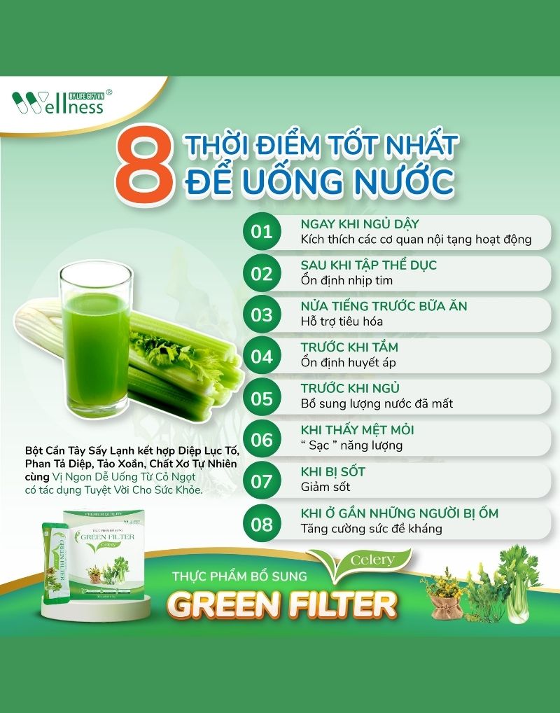 8 thời điểm tốt nhất để uống nước Cần tây – diệp lục Green Filter Celery thanh lọc thải độc - Dropbiz