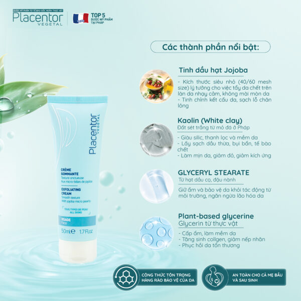 Các Thành Phần Nổi Bật Của Kem Tẩy Tế Bào Chết Từ Thực Vật Placentor Exfoliating Cream