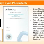 Sơ Lược Lyna Pharmtech - Dropbiz