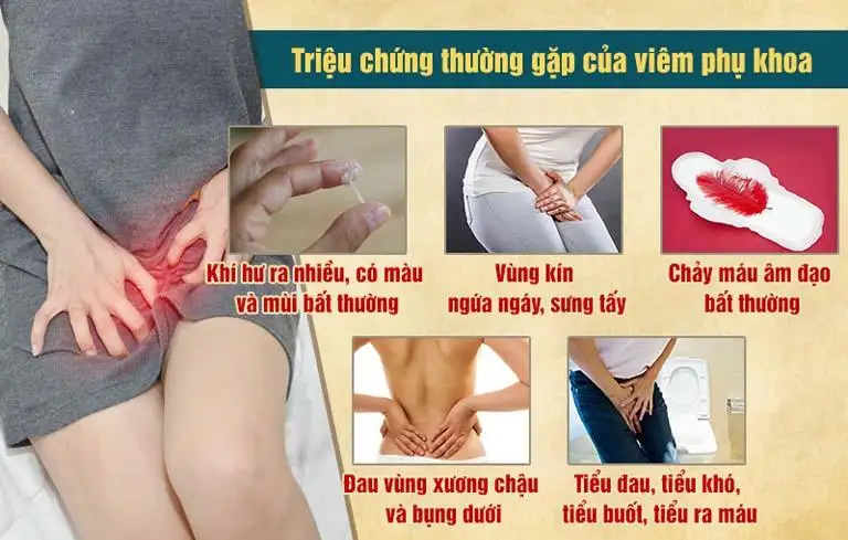 Triệu Chứng Thường Gặp Của Các Vấn đề Phụ Khoa Vùng Kín