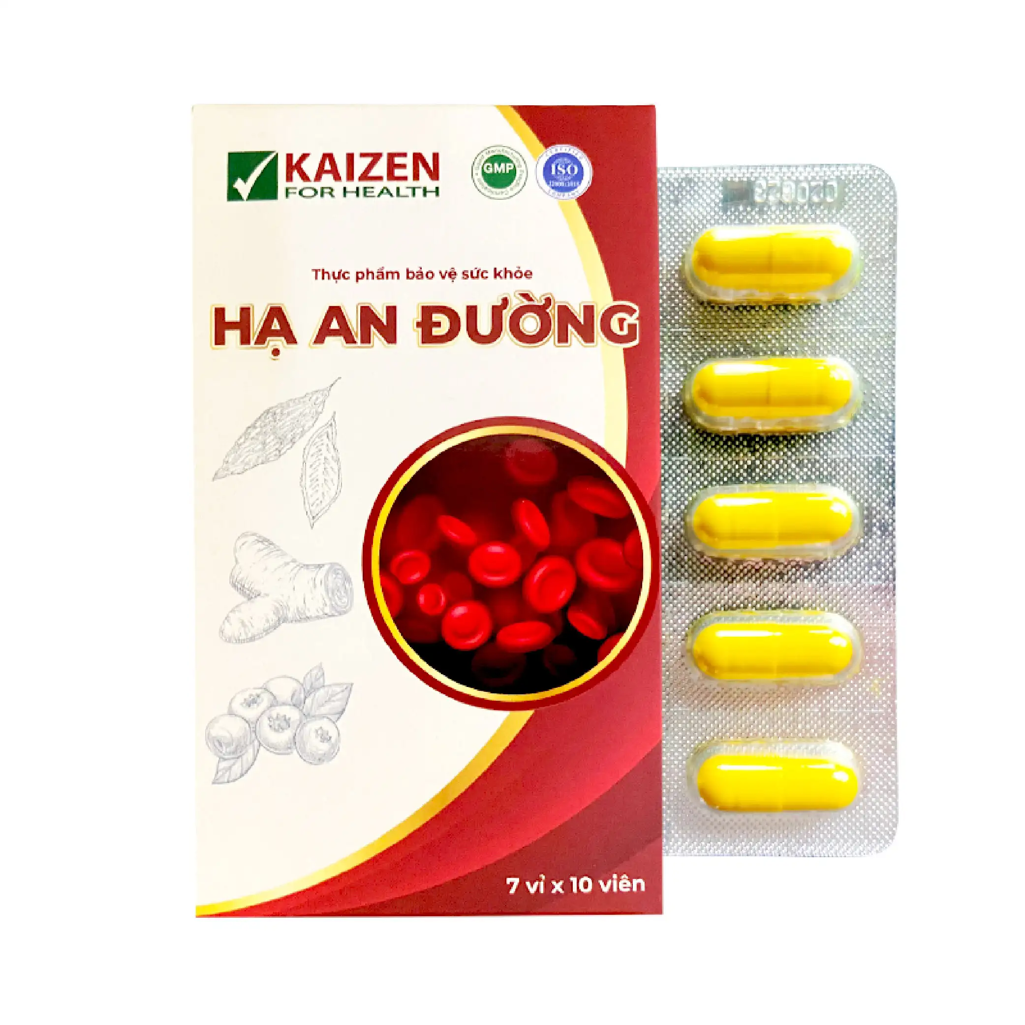 Thực phẩm bảo vệ sức khỏe Hạ An Đường – Viên uống hỗ trợ điều trị tiểu đường/ đái tháo đường