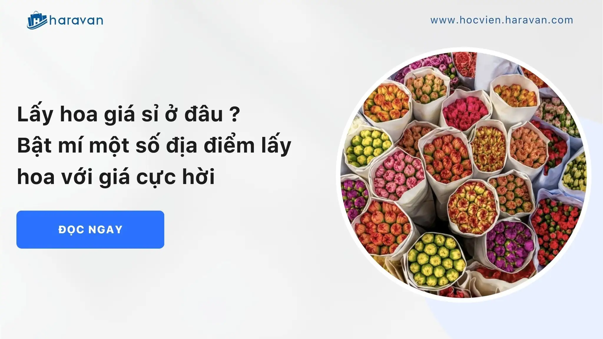 Lấy hoa giá sỉ ở đâu ? Bật mí một số địa điểm lấy hoa với giá cực hời