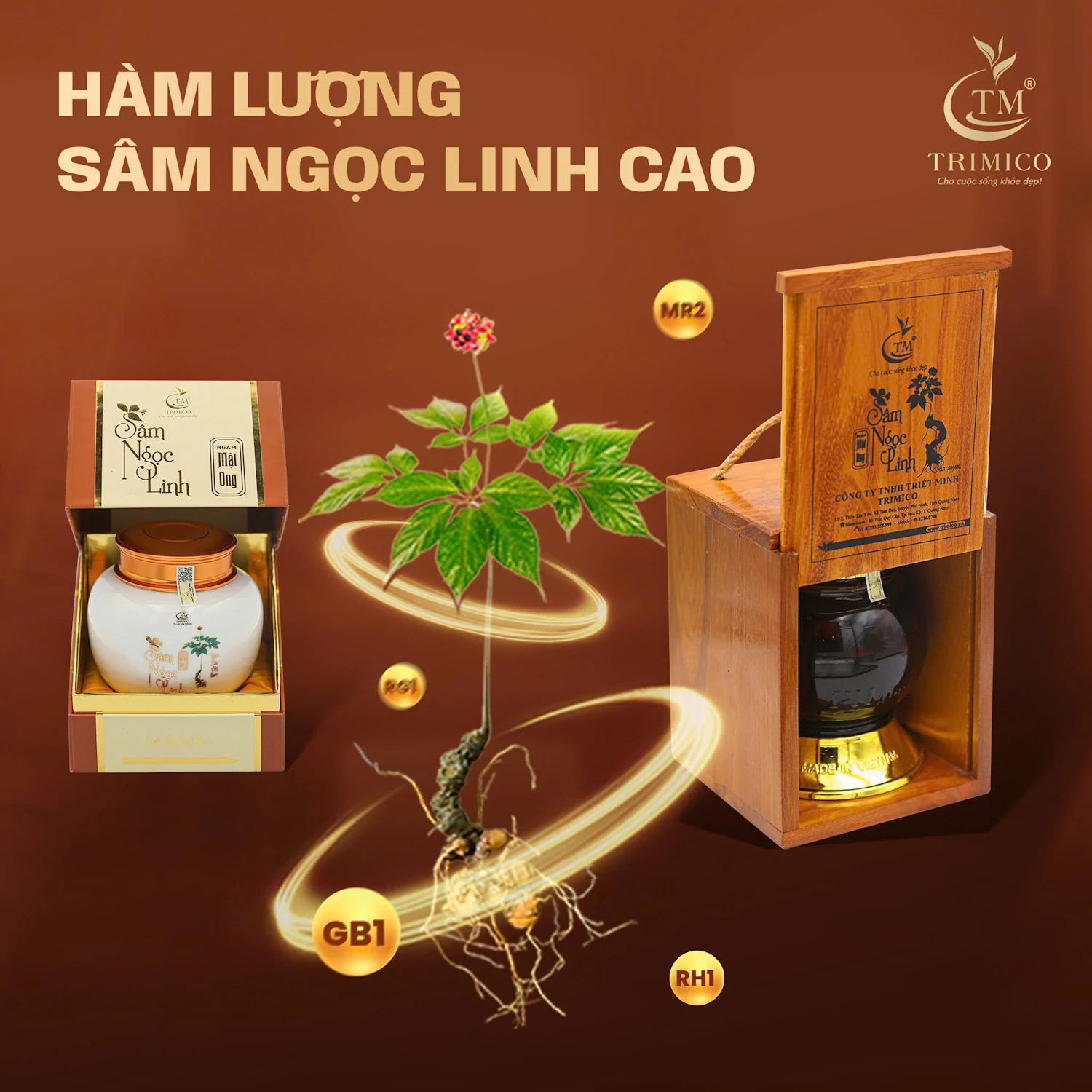 Hàm Lượng Sâm Ngọc Linh Cao