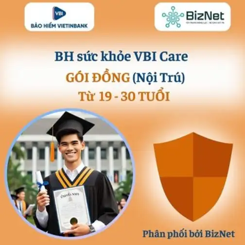 BH Sức Khoẻ VBI Care ĐỒNG 19 30 Tuổi (nội Trú)