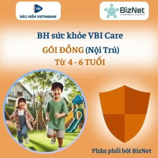 BH Sức Khoẻ VBI Care ĐỒNG 4 6 Tuổi (nội Trú)