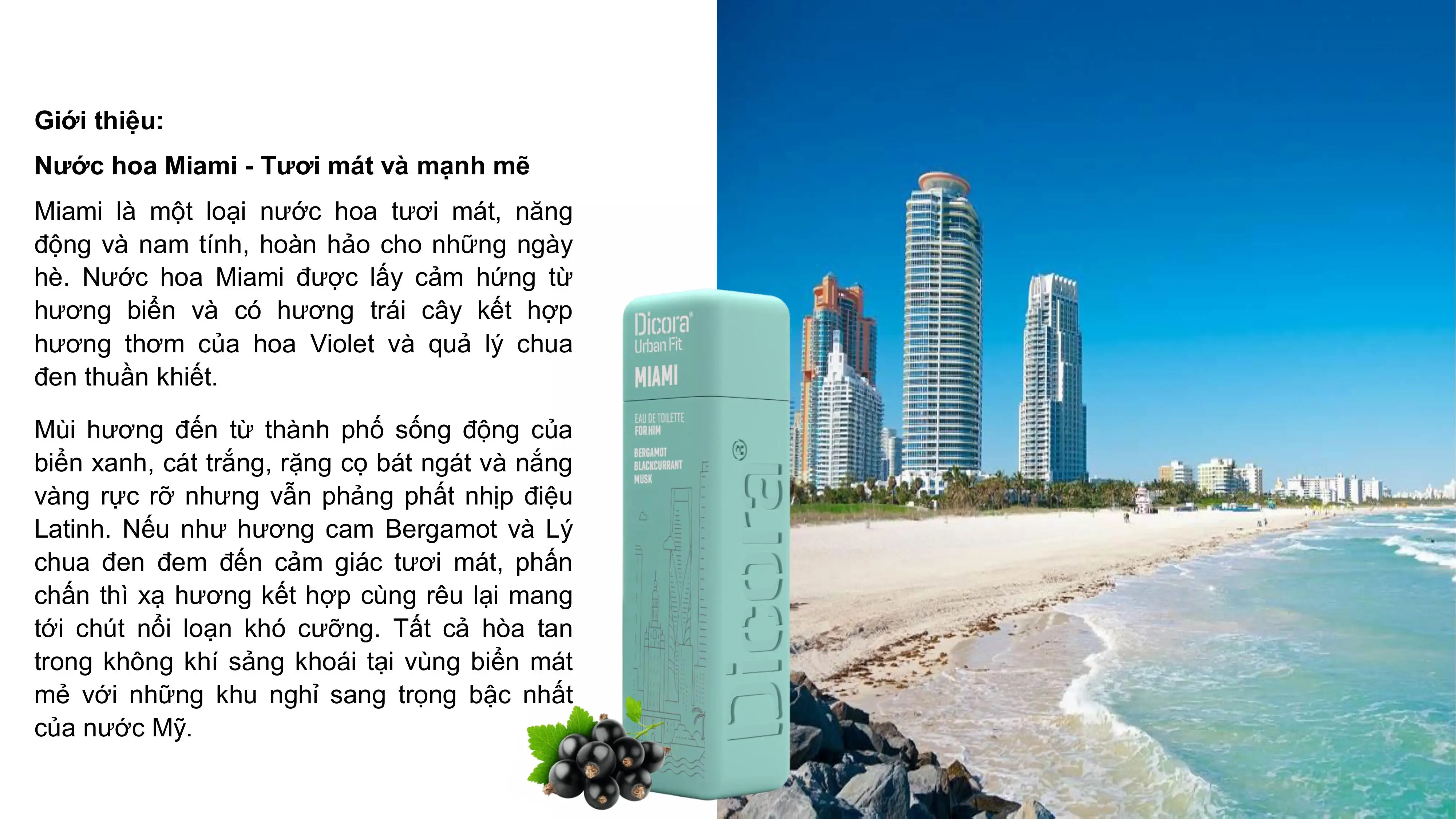 Dicora Urban Fit Nước Hoa_Giới Thiệu Sản Phẩm Hình ảnh 17