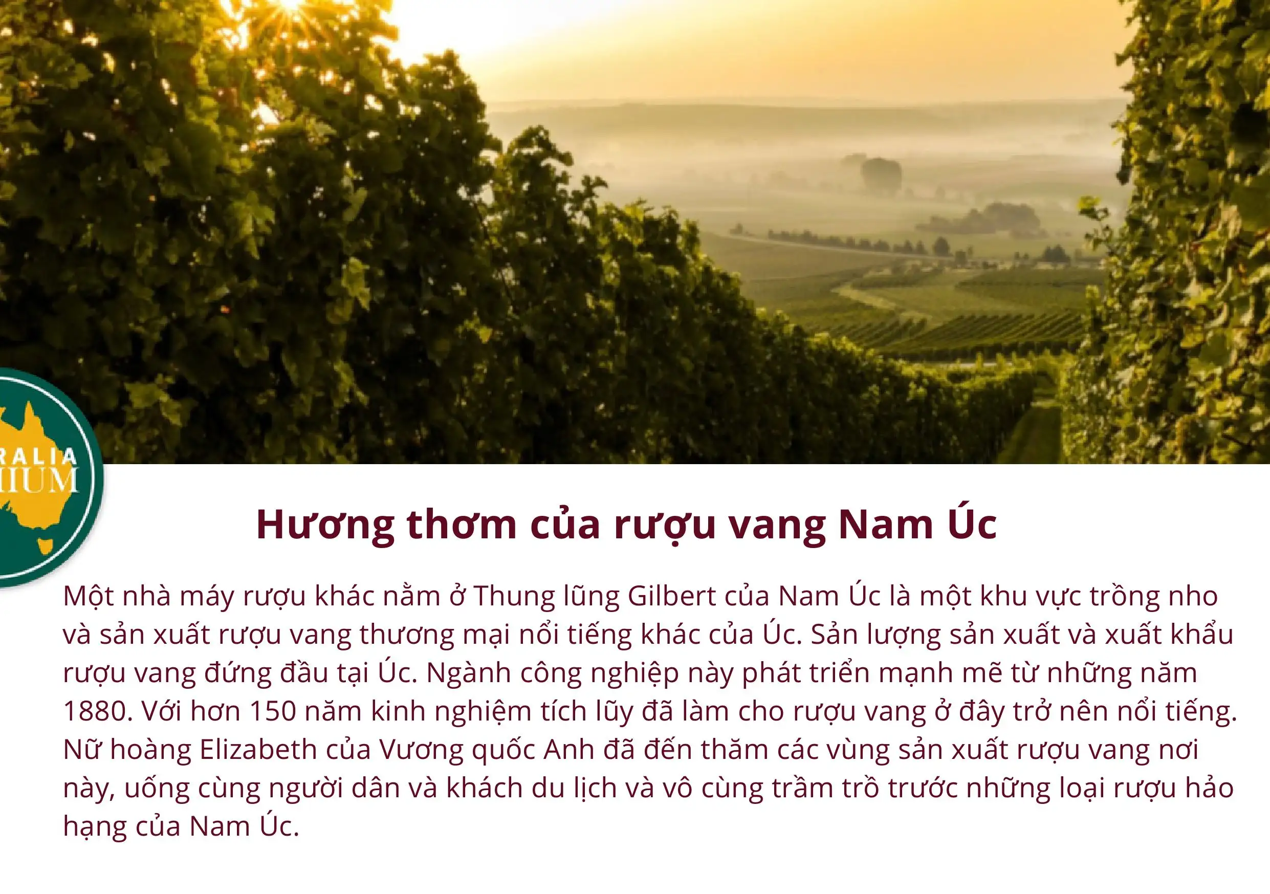 Giới Thiệu Rượu Vang Impero Red Úc Hình ảnh 4