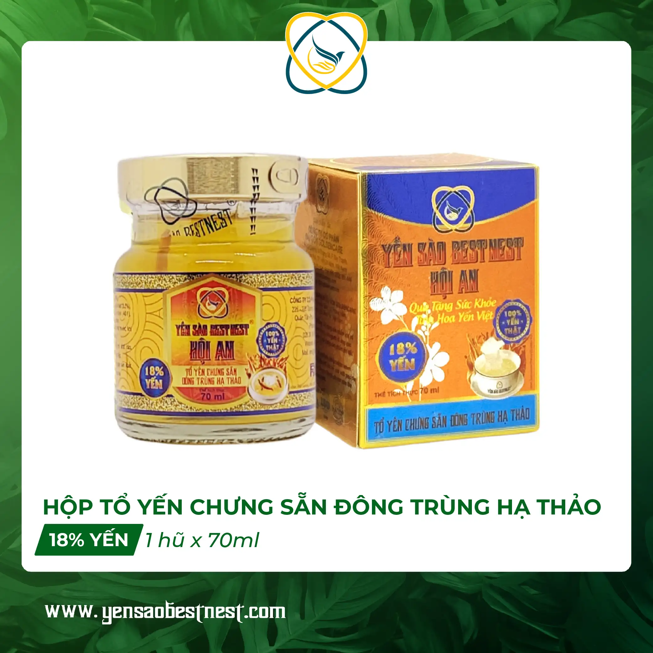 Hop Don Yen Dong Trung Ha Thao_Bestnest Hội An